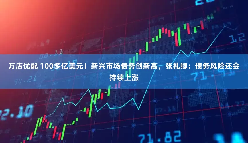万店优配 100多亿美元！新兴市场债务创新高，张礼卿：债务风险还会持续上涨