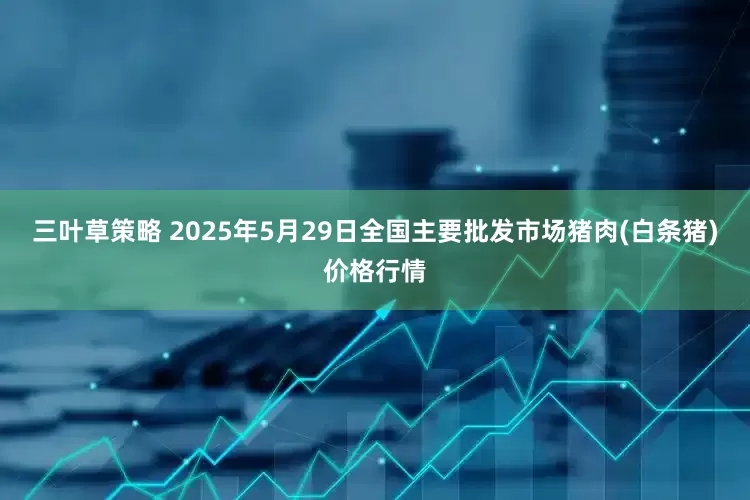 三叶草策略 2025年5月29日全国主要批发市场猪肉(白条猪)价格行情