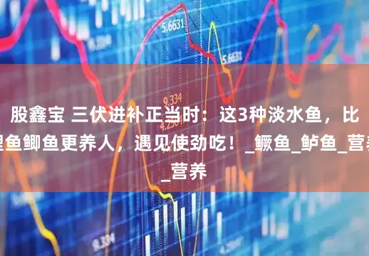 股鑫宝 三伏进补正当时：这3种淡水鱼，比鲤鱼鲫鱼更养人，遇见使劲吃！_鳜鱼_鲈鱼_营养