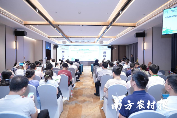 七星配资 百名博士聚侨都，产才融合开新篇！ 江门市“十城百校”百名博士行活动火热开展